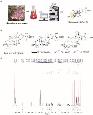 Network pharmacology-based analysis of Resinacein S against non-alcoholic fatty liver disease by modulating lipid metabolism